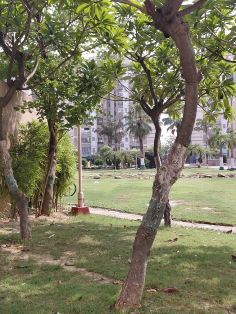 Garden, amrapali-grand 3 Bedroom 3705 Sq.Ft. Apartment In Zeta I Greater Noida Greater Noida 10494081
