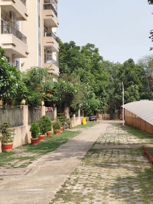 3 BHK Apartment – Exterior View View at Amrapali Grand, Zeta I Greater Noida - for Sale
