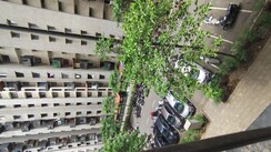 2 BHK + Pooja Room,Study Room Apartment For Rent in Lodha Downtown