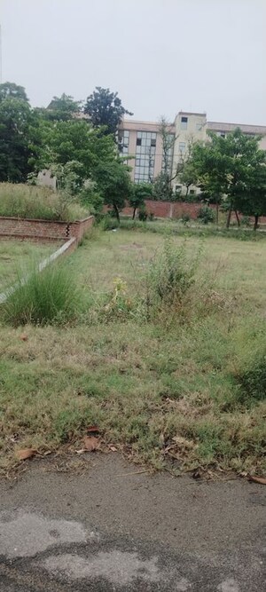 Plot Area in  Plot at Salarpur Jalalpur – for Sale