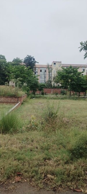 Plot Area in  Plot at Salarpur Jalalpur – for Sale