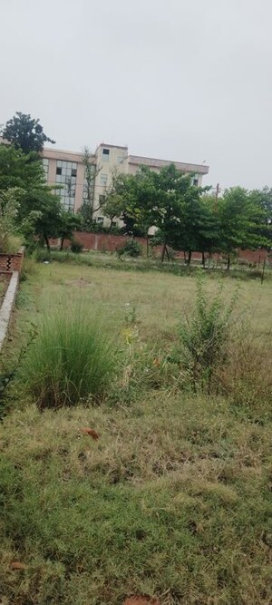  Plot For Sale in Salarpur Jalalpur