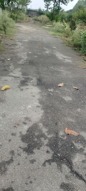  Plot – Exterior View View at Salarpur Jalalpur - for Sale
