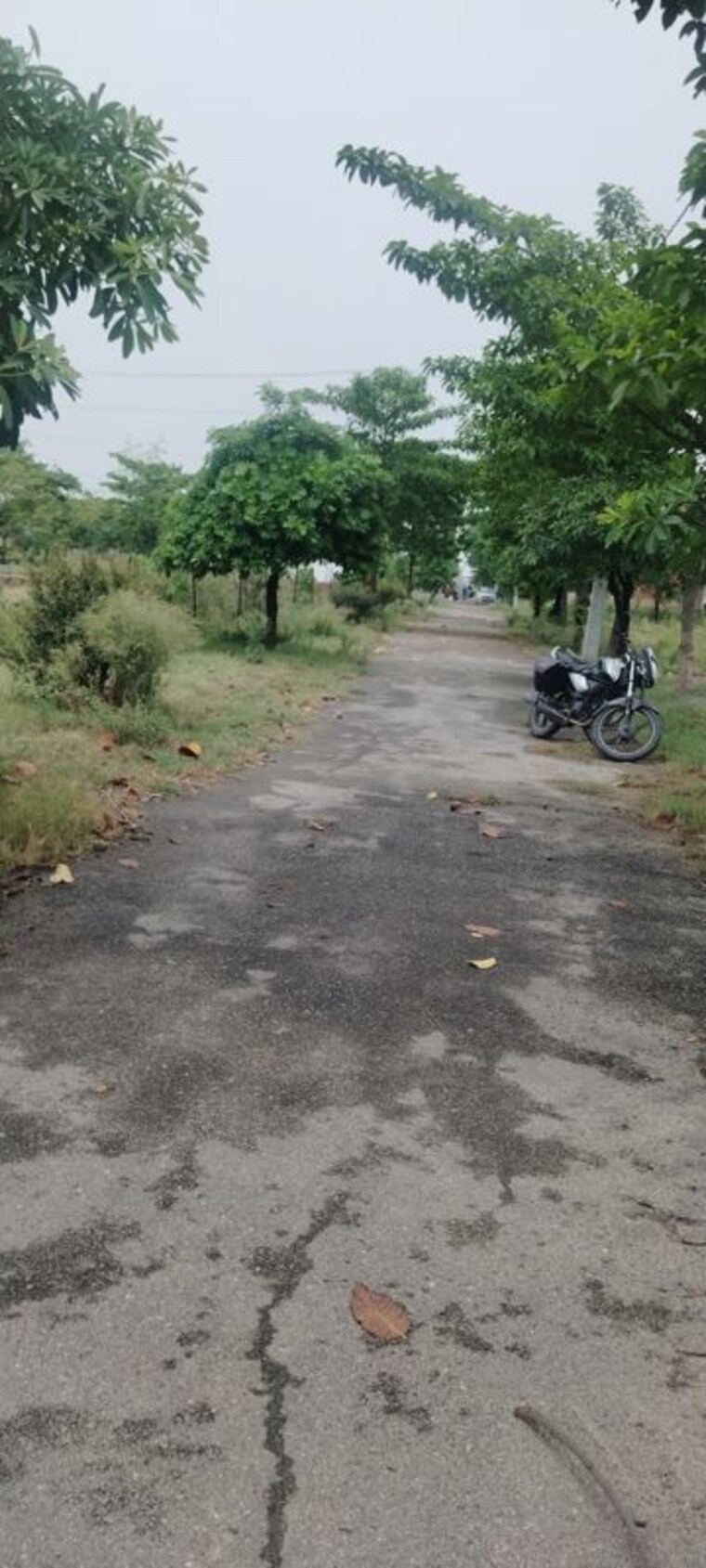 undefined, salarpur jalalpur  132 Sq.Yd. Plot In Salarpur Jalalpur Meerut 10494384