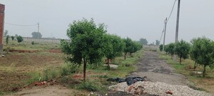 Plot Area in  Plot at Salarpur Jalalpur – for Sale