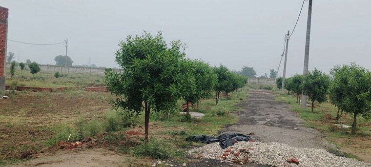 undefined, salarpur jalalpur  115 Sq.Yd. Plot In Salarpur Jalalpur Meerut 10494416
