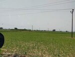 9000 Sq.Yd. Industrial Plot in Murad Nagar