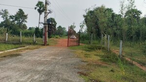  Plot – Garden View at Kothavalasa - for Sale