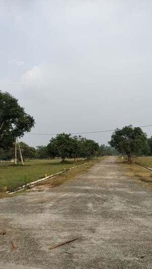 Plot Area in  Plot at Kothavalasa – for Sale
