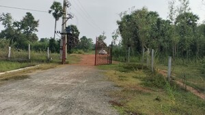  Plot – Exterior View View at Kothavalasa - for Sale