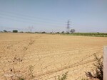 5500 Sq.Yd. Land in Murad Nagar
