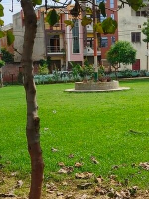  Plot – Garden View at Defence Colony - for Sale