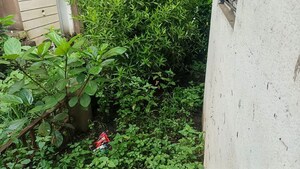  Independent House – Garden View at Palsana - for Sale