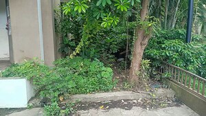 Plot Area in  Independent House at Palsana – for Sale