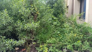  Independent House – Garden View at Palsana - for Sale