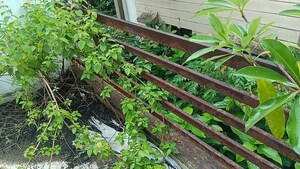 Balcony in  Independent House at Palsana – for Sale
