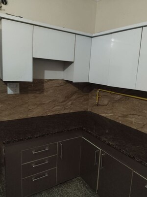 Kitchen in 3 BHK Builder Floor at Sector 14 – for Rent