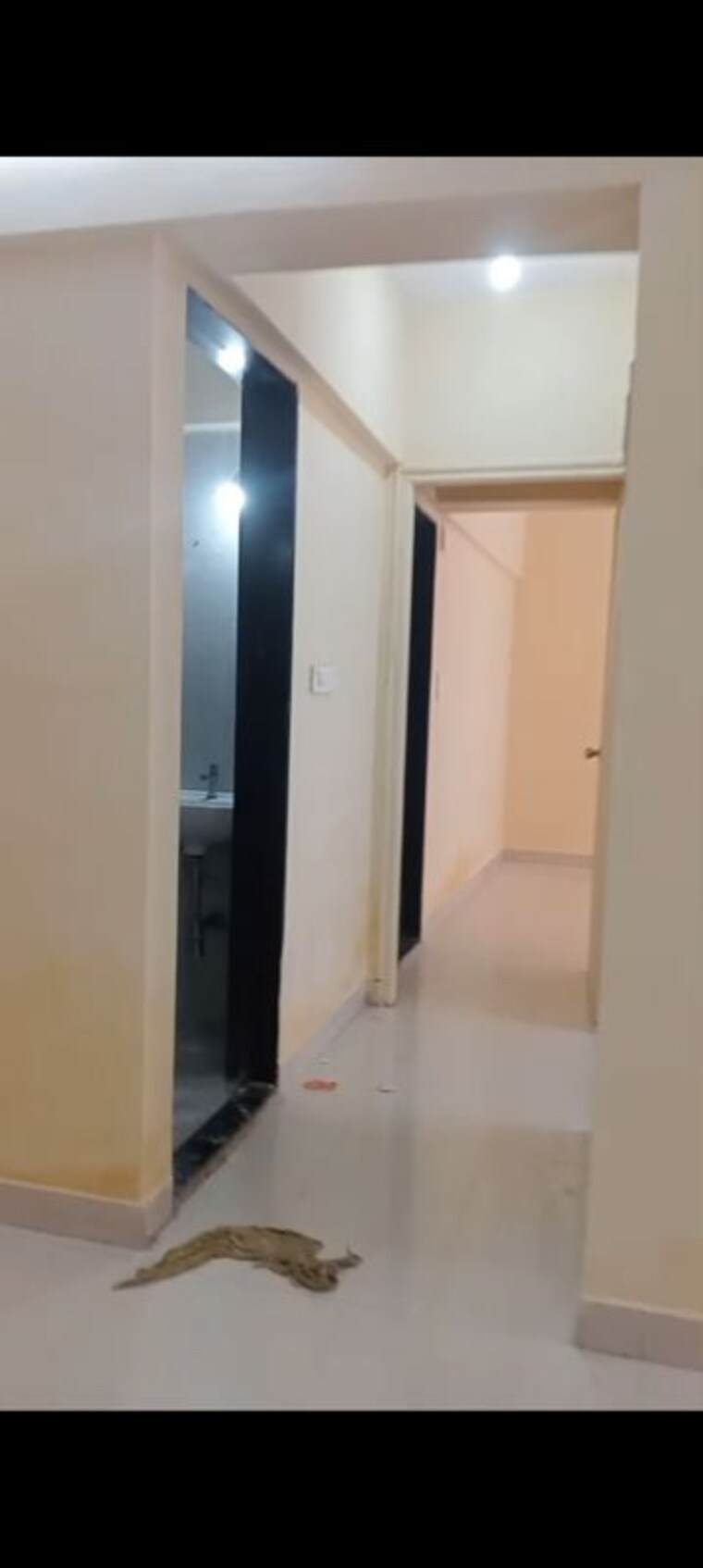 undefined, hdil-premier-exotica 1 Bedroom 460 Sq.Ft. Apartment In Kurla West Mumbai 10495731