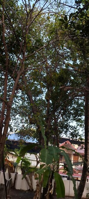  Plot – Garden View at Mangad - for Sale
