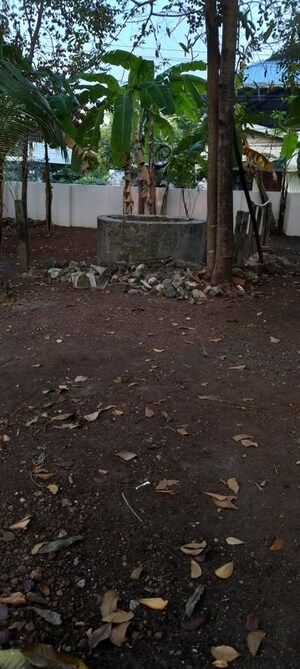 Plot Area in  Plot at Mangad – for Sale