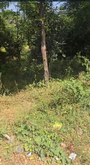 Plot Area in  Land at Karoli – for Sale