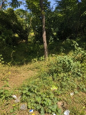  Land For Sale in Karoli