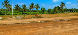 Plot Area in  Plot at Nelamangala – for Sale