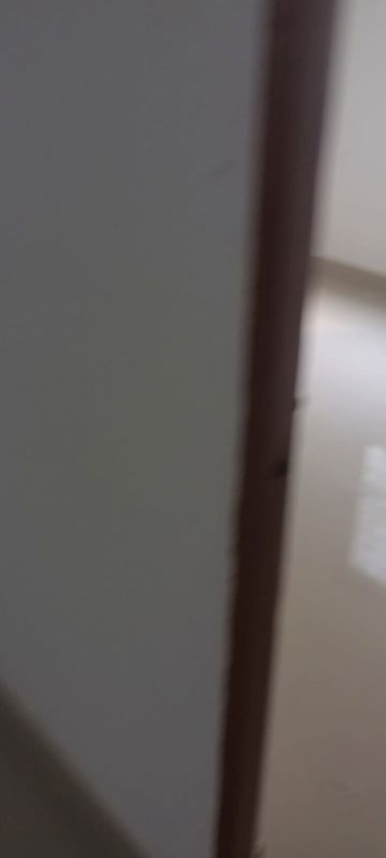 Room, kamgar putala vasahat 1 Bedroom 580 Sq.Ft. Apartment In Kamgar Putala Vasahat Pune 10496745