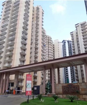 1 BHK Apartment For Rent in Raj Nagar Extension