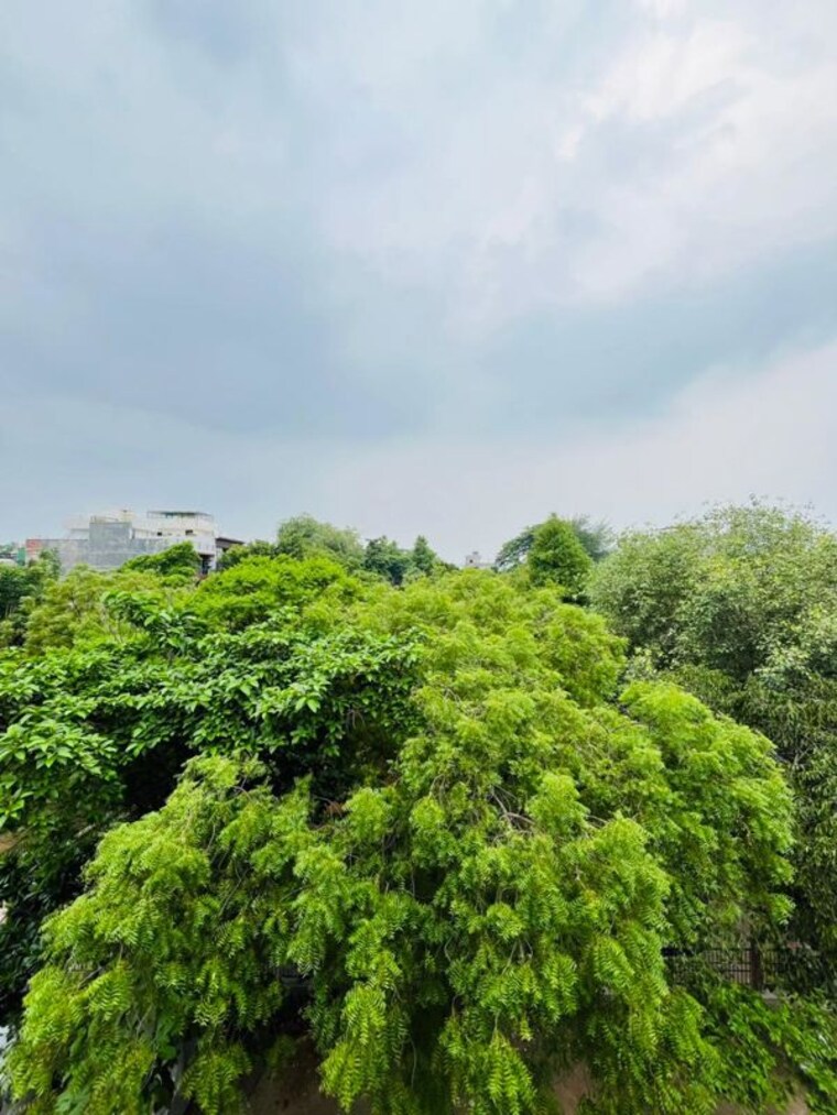 Garden, sector 41 2 Bedroom 136 Sq.Mt. Builder Floor In Sector 41 Noida 10496834