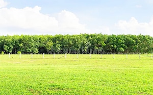 Plot Area in  Plot at Bala Nagar – for Sale