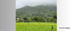 Plot Area in 2 BHK Villa at Lonavala – for Sale