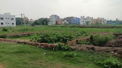 Plot For Sale in Laxmi Sagar