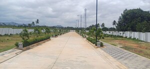   Plot at Nandi Hills – for Sale