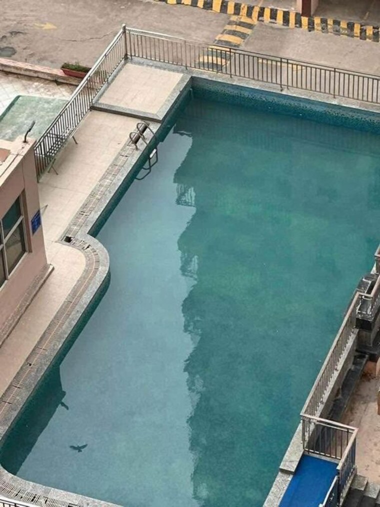 Swimming Pool, maxworth-premier-urban 2 Bedroom 1200 Sq.Ft. Apartment In Sector 15 Gurgaon 10497257