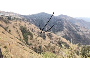 Land For Sale in Chotta Shimla