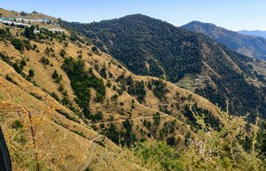 Plot Area in  Land at Chotta Shimla – for Sale