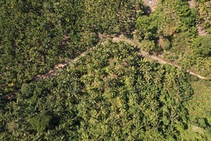  Plot – Garden View at Port Blair - for Sale