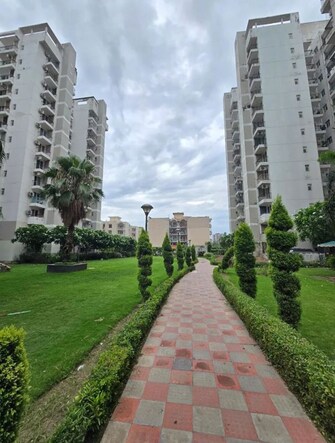 2 BHK Apartment For Rent in NK Sharma Savitry Greens in Lohgarh, Zirakpur