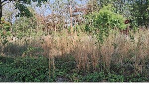 Plot Area in  Plot at Dhammanagi Tulips Garden, International Airport Road – for Sale