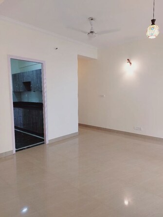 2 BHK 1105 Sq.Ft. Builder Floor in DLF Regency Park I