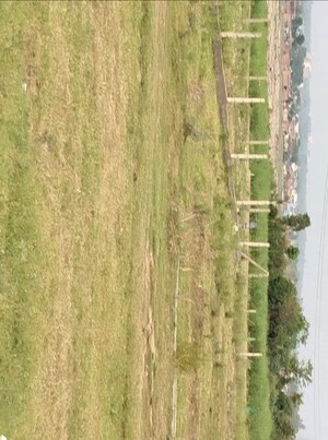 Plot Area in  Plot at Sherpur – for Sale