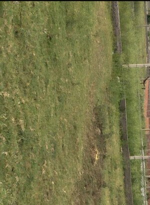 Plot Area in  Plot at Sherpur – for Sale