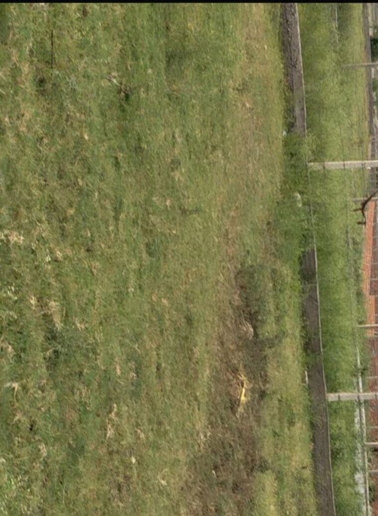 undefined, sherpur  152 Sq.Yd. Plot In Sherpur Dehradun 10498367