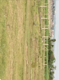 Plot For Sale in Sherpur