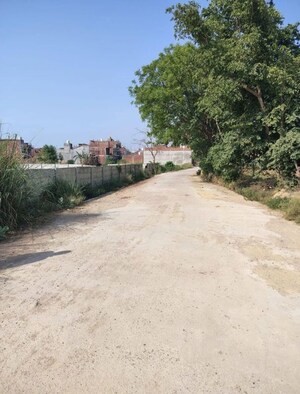 Plot Area in  Plot at Mohanlalganj – for Sale