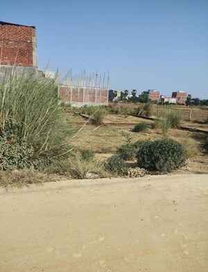 Plot Area in  Plot at Mohanlalganj – for Sale