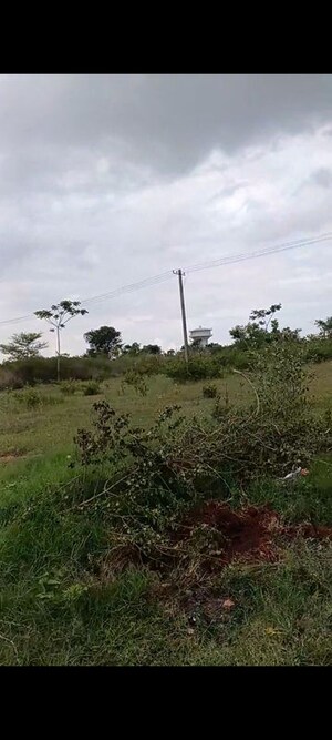 Plot Area in  Plot at Aditya Ekansh, Beml Nagar – for Sale