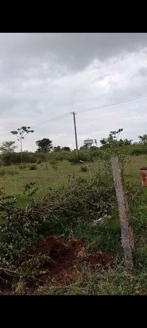 Plot Area in  Plot at Aditya Ekansh, Beml Nagar – for Sale