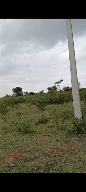  Plot For Sale in Aditya Ekansh, Beml Nagar